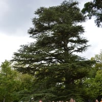 Le domaine Royal de Randan (la visite)