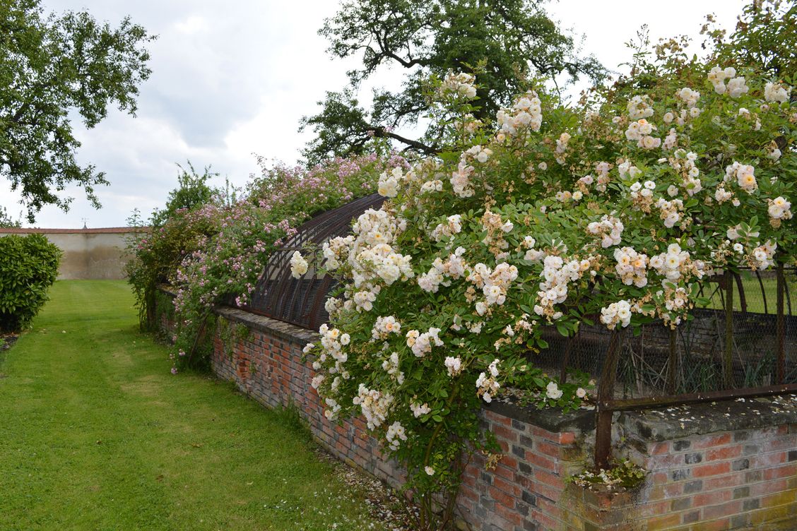 Le domaine Royal de Randan (la visite)