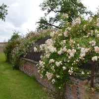 Le domaine Royal de Randan (la visite)