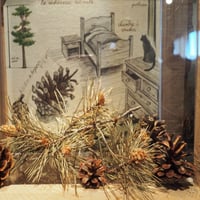 Le musée des bois noirs à Lavoine
