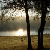 Ce matin là la brume se lève...