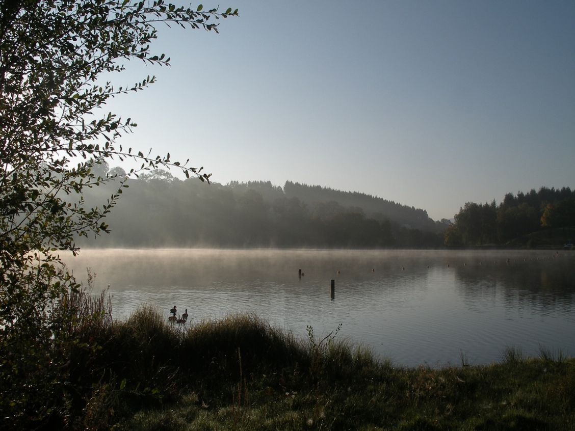 Sur le plan d'eau de Saint Rémy Sur Durolle.