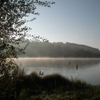 Sur le plan d'eau de Saint Rémy Sur Durolle.