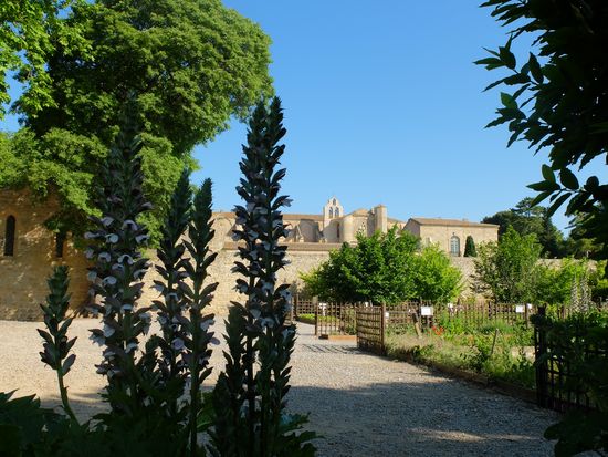 Abbaye de Valmagne