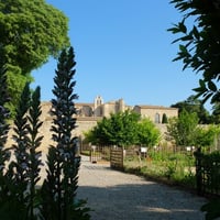 Abbaye de Valmagne