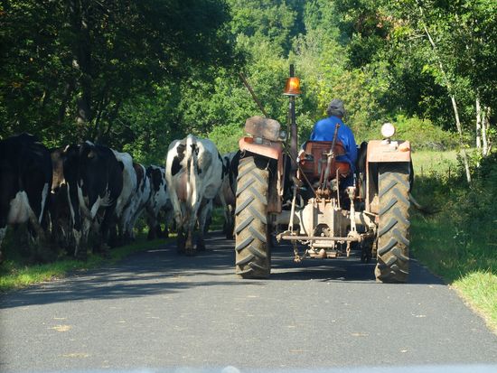 Ce genre de rencontre, ça vous plombe une moyenne..avec crépissage gratuit des bas de caisse!