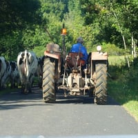 Ce genre de rencontre, ça vous plombe une moyenne..avec crépissage gratuit des bas de caisse!