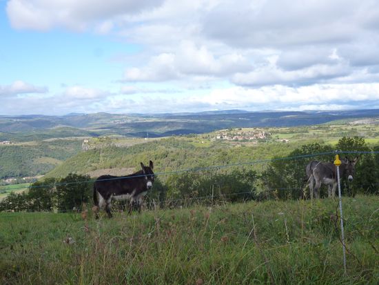 Aucun rapport avec la photo précédente...