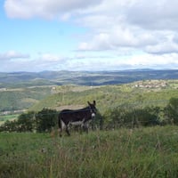 Aucun rapport avec la photo précédente...
