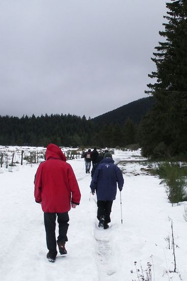 Mais la neige la voilà.