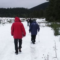 Mais la neige la voilà.