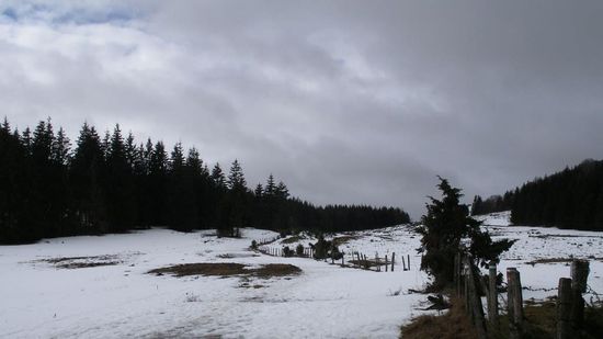 Beau paysage.