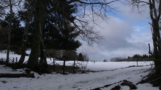 Beau paysage.