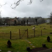 Nous avions tellement faim, que nous aurions pu manger les lamas!